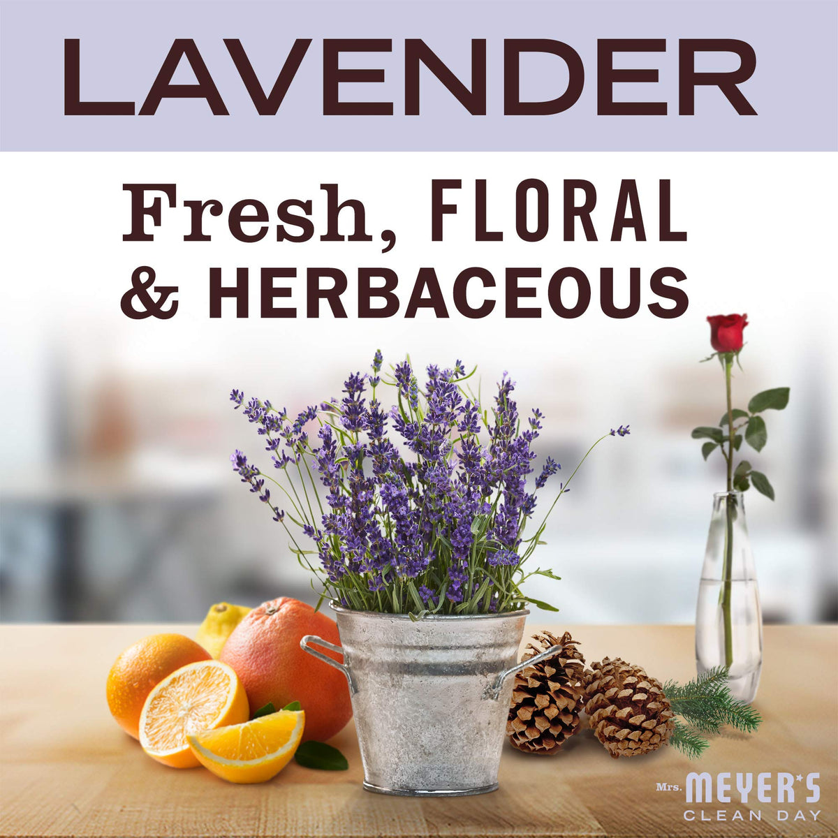 MRS. MEYER'S CLEAN DAY Foaming Hand Soap Refills, Lavender, 4 Count