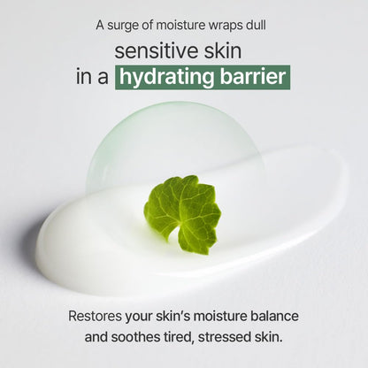 mixsoon Cica Hyal Deep Soothing Cream - Soothing and Hydrating Face Cream, Centella Asiatica and Hyaluronic Acid, Calming Moisturizer for Sensitive Skin 50ml / 1.69 fl.oz. Korean Glass Skin Care