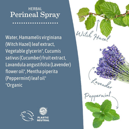 Earth Mama - Herbal Perineal Spray - 4 fl oz