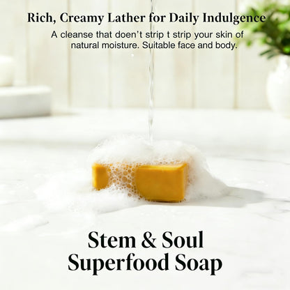 Stem and Soul Soap, Upgraded Stem & Soul Turmeric Lemon Soap Bar For Dark Spots, Support Nourishes And Clarifies Help Cleaning Facial And Body Skin, And Suitable Dry And Oily Skin. (1 Pcs)