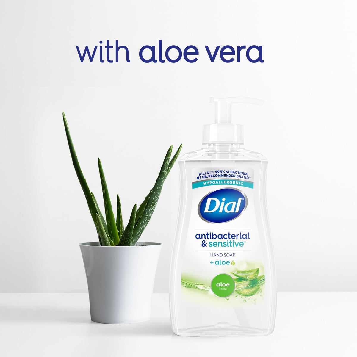 Dial Antibacterial Defense Liquid Hand Soap + Aloe, Aloe Scent, 11 Fl Oz (Pack of 12), Dermatologist-Tested Hand Wash, Gentle Formula