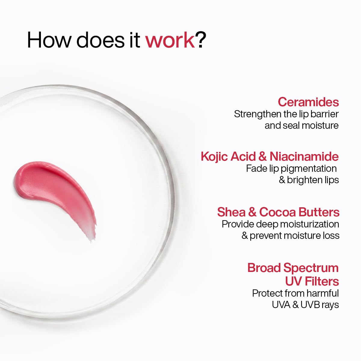 WishCare Tinted Lip Balm with SPF 50 PA+++ – Enriched with Niacinamide, For Women, 5g