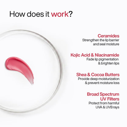 WishCare Tinted Lip Balm with SPF 50 PA+++ – Enriched with Niacinamide, For Women, 5g