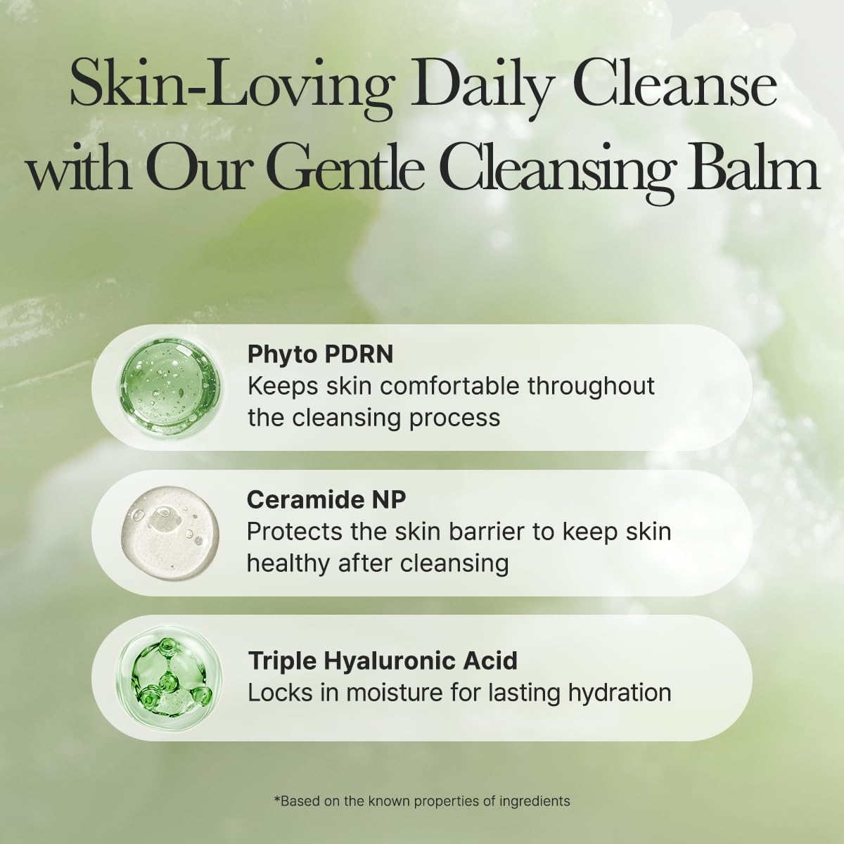 ARENCIA Pore Melt Phyto PDRN Cleansing Balm, Makeup Removing & Pore Care Cleanser with PDRN, Ceramide, Hyaluronic Acid, 90ml / 3.04 fl. oz.