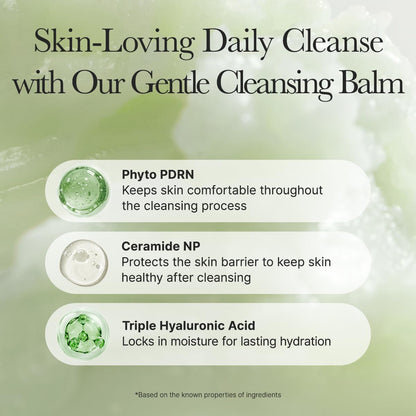 ARENCIA Pore Melt Phyto PDRN Cleansing Balm, Makeup Removing & Pore Care Cleanser with PDRN, Ceramide, Hyaluronic Acid, 90ml / 3.04 fl. oz.