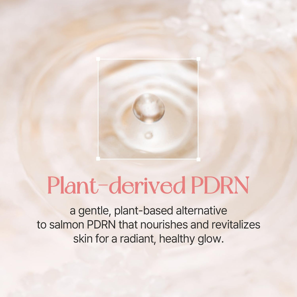 mixsoon PDRN Collagen Tinted Moisturizer - Skincare-Infused Base with Rice PDRN & Peptides, 24H Vibrant Glow & Luminous Hydration, 10 Shades 50ml / 1.69 fl.oz. Korean Glass Skin (No. 27 Unseen)