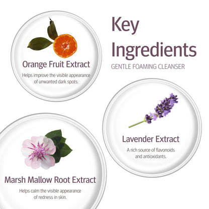 Epionce Gentle Foaming Cleanser Face Wash Makeup Remover Hydrating Cleanser