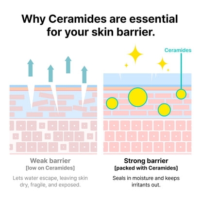 Dr.Jart+ Ceramidin Skin Barrier Korean Face Cream Moisturizer with Ceramides and Panthenol | Korean Skin Care | Travel Size, 0.5 Fl Oz