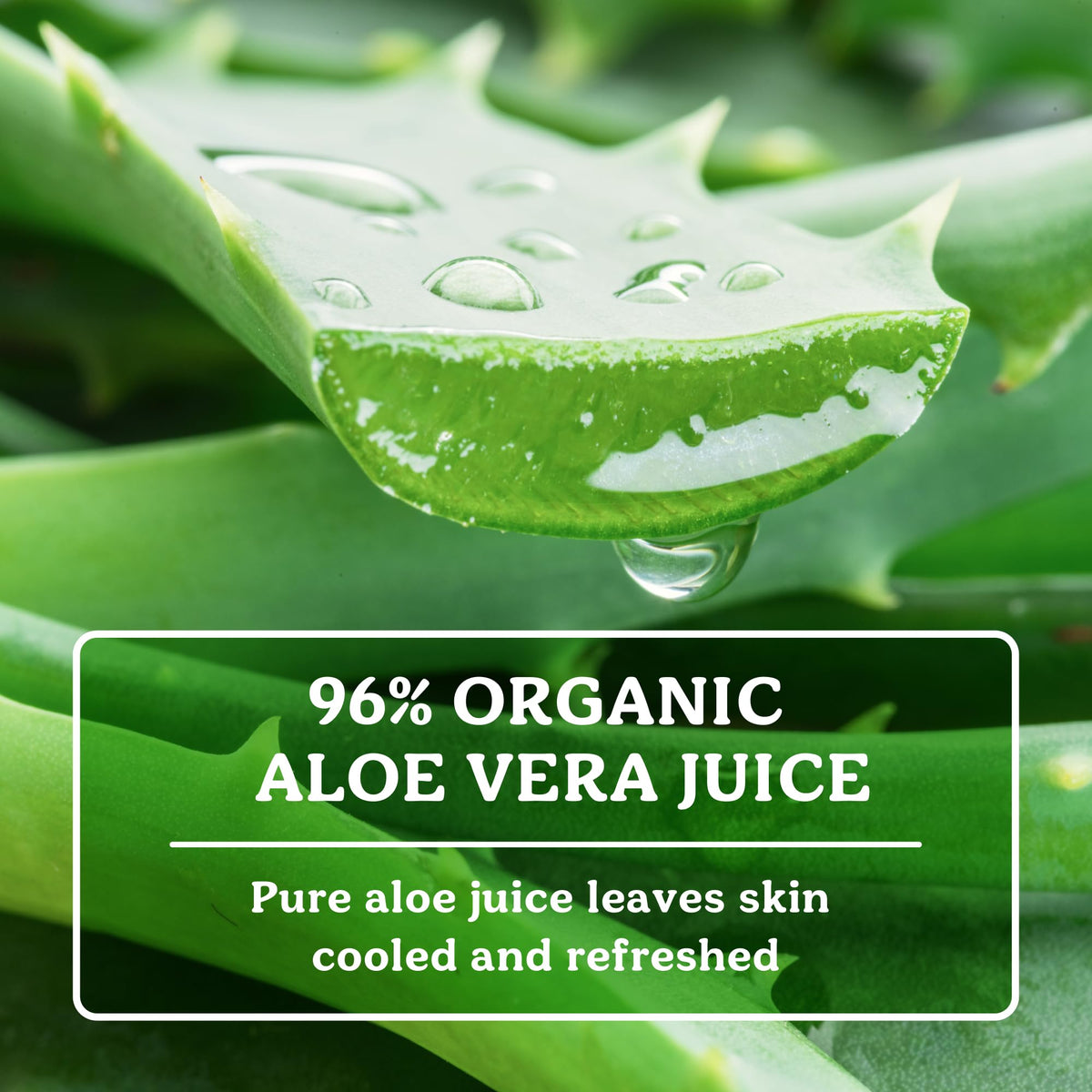 Badger Organic Aloe Vera Gel, Cooling, Fair Trade, Face & Body, 4 fl oz