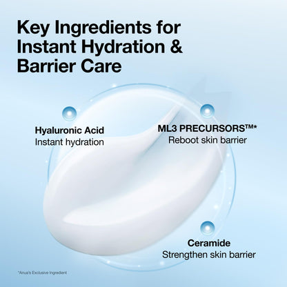 ANUA Barrier Reboot Water Gel Cream, 3.38 fl oz