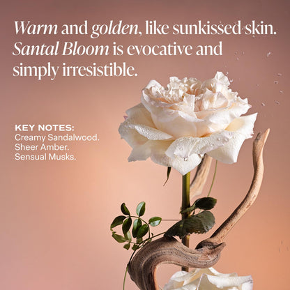 Saltair Body Lotion | Moisturizing Care | Santal Bloom, 2 Pack
