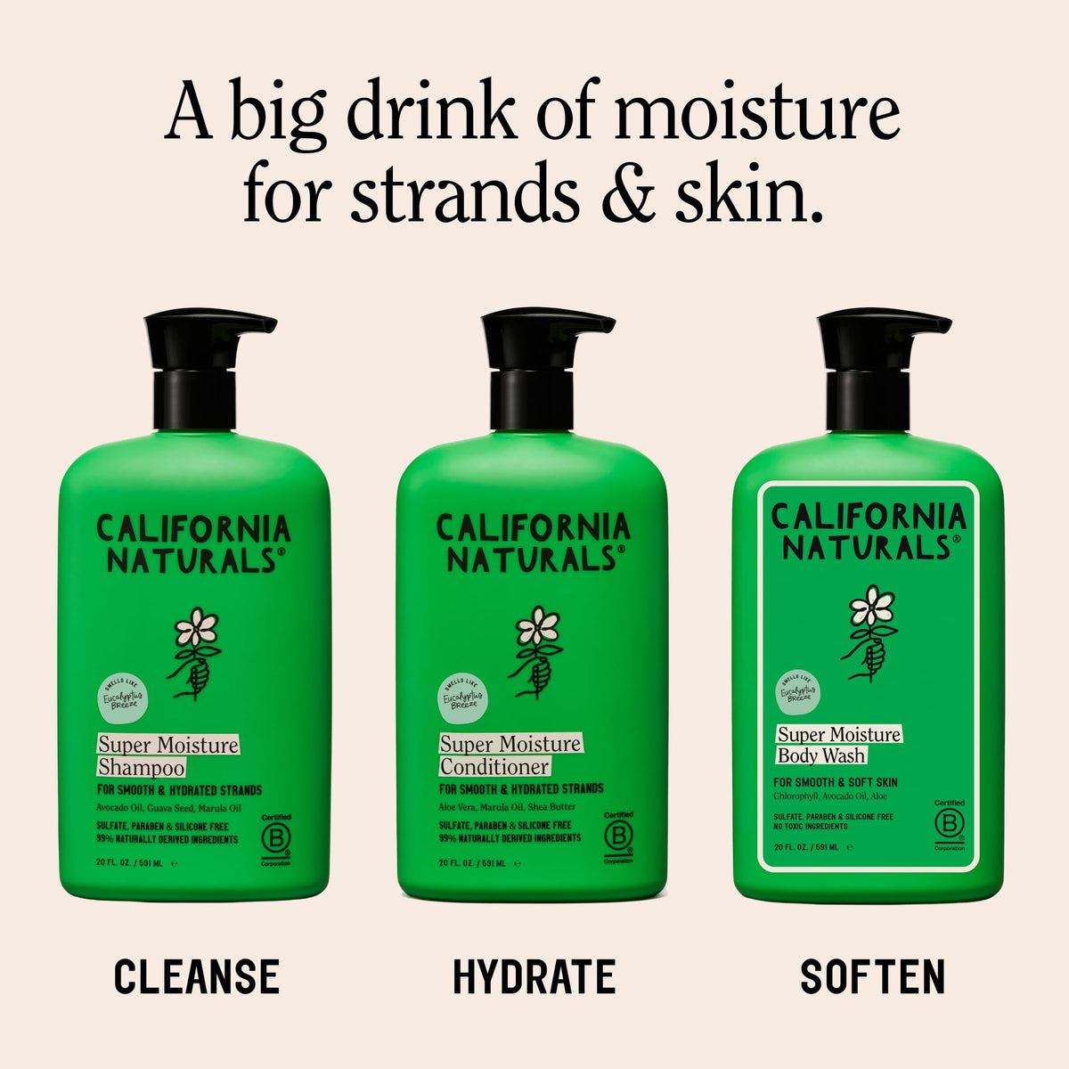 California Naturals Super Moisture Body Wash 2-Pack, Moisturizing Shower Gel for Dry Skin with Mango Seed Butter, Avocado & Aloe, Sulfate, Paraben & Silicone Free, Eucalyptus Breeze, 20 oz