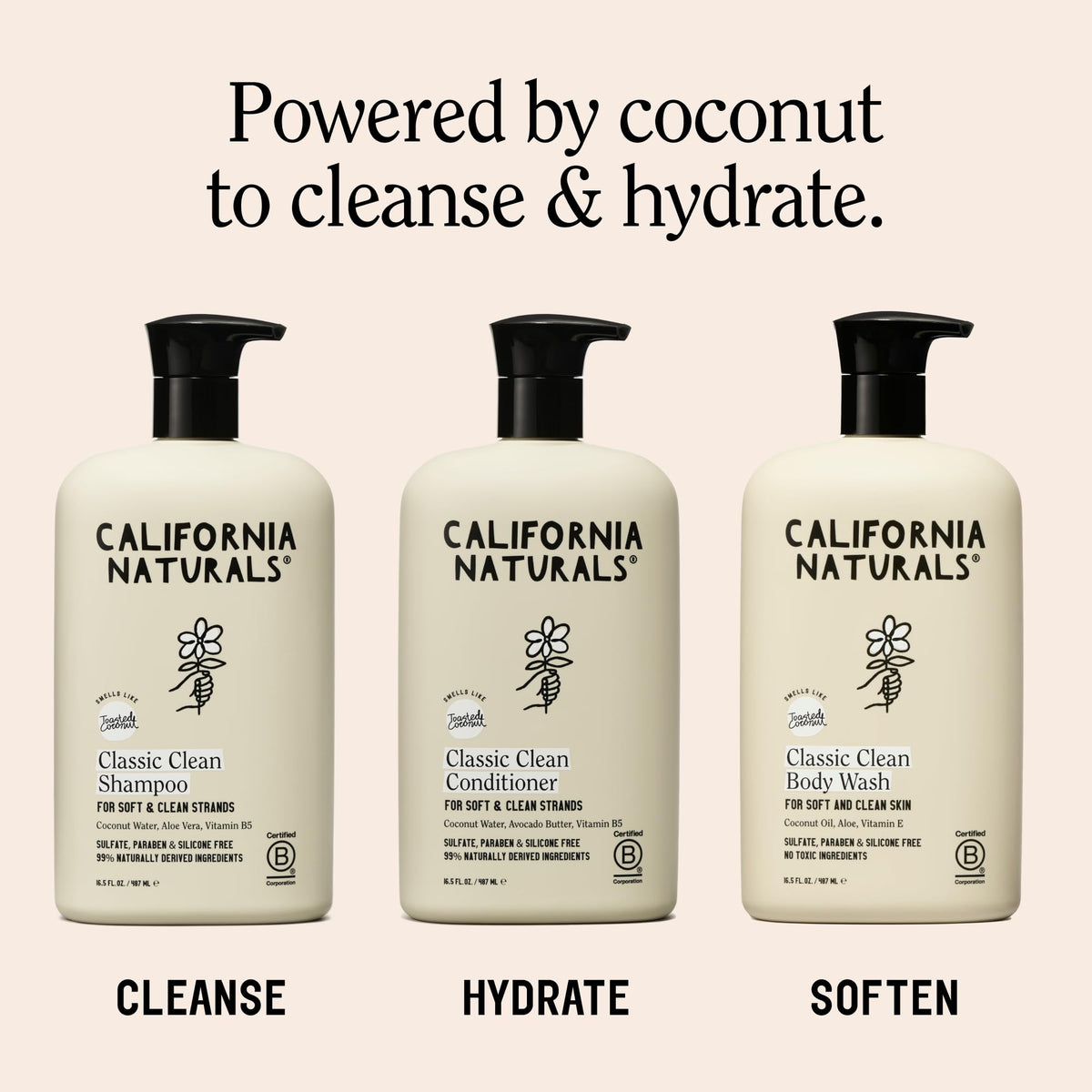 California Naturals Classic Clean Toasted Coconut Body Wash 2-Pack, Coconut Oil, Shea Butter & Aloe, Naturally Scented, Sulfate, Paraben & Silicone Free, 20 oz