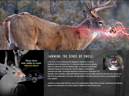 Nose Jammer Hunting Accessories - Hunting Body Wash and Shampoo - Clean, Moisturizes And Refreshes, No Sulfates, Prabens Or Dyes, Scent Away For Hunting, 12 oz.