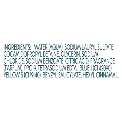 Degree All Day Fresh Body Wash Fresh Energy Deep Cleansing 20 FO