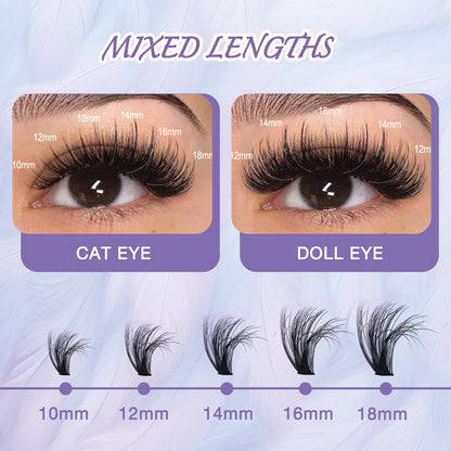proamate Cluster Lashes Individual Cluster Eyelashes D Curl Mix 10-18mm (60D+80D) Eyelashes Cluster Volume & Dramatic Russian Individual Eye Lashes for Beginners (60D+80D)