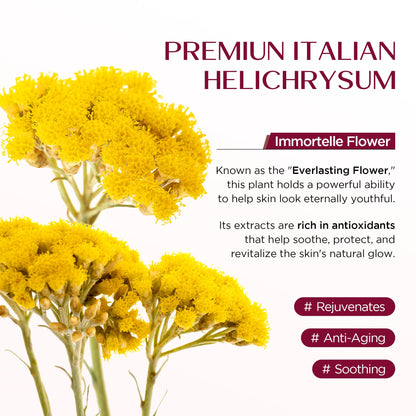 Vigority Helichrysum Balm Soothes & Repairs: Restorative Arnica Cream with Calendula for Fragile, Thin Skin & Bruise-Prone – Moisturizes, Revitalizes & Strengthens Skin Barrier for Adult Seniors 3.4oz