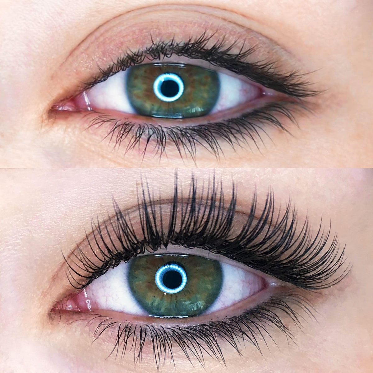 Taffeay Cashmere Super Matte Black Lash Extensions Trays (0.05 CC 8-15mm)
