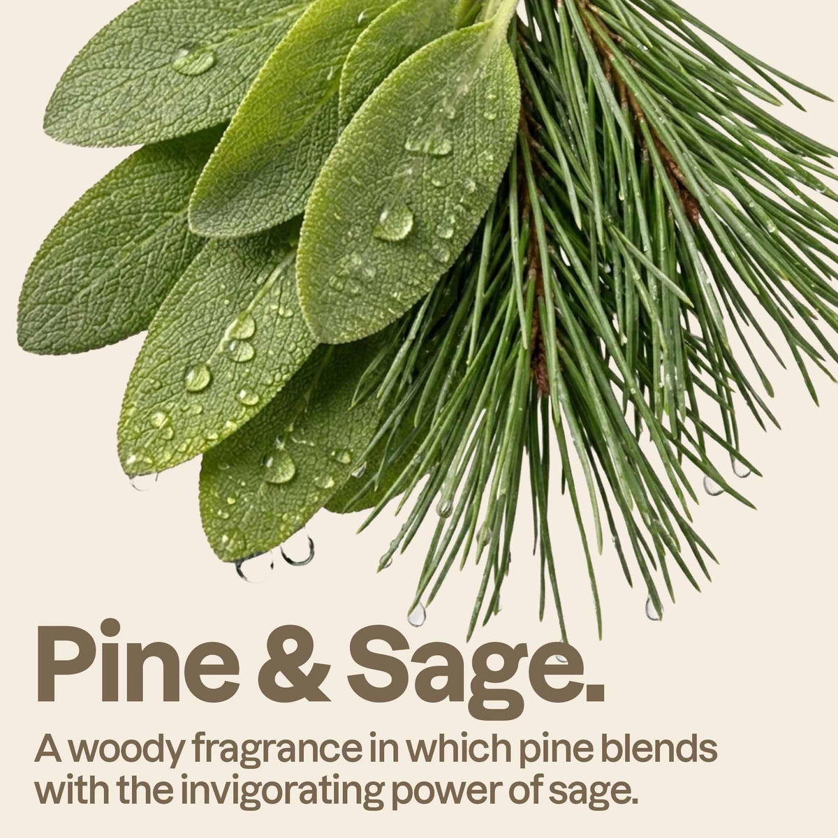 ATTITUDE Liquid Hand Soap, EWG Verified, Plant and Mineral-Based, Vegan Personal Care Products, Pine & Sage, 16 Fl Oz