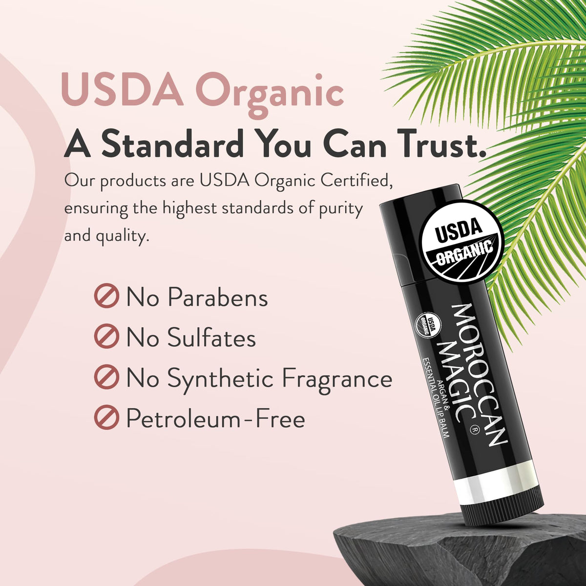 Moroccan Magic Pure Coconut Organic Lip Balm, Lip Moisturizer 3 Pack