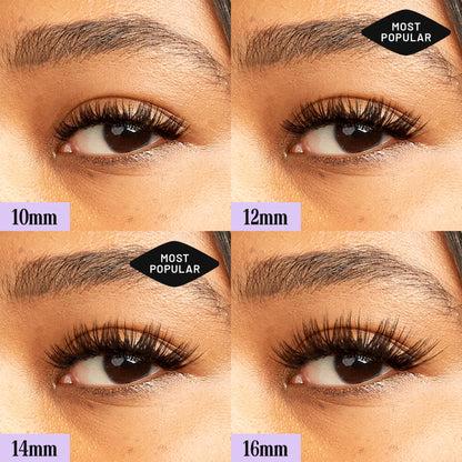 Lilac St Dramatic Lash Clusters for DIY Lash Extensions, Midnight, 14mm