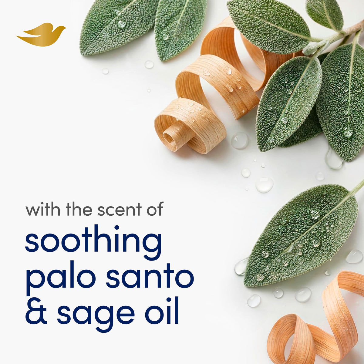 Dove Beauty Bar Soap, Palo Santo & Sage Oil, I 6 Count 3.75 oz