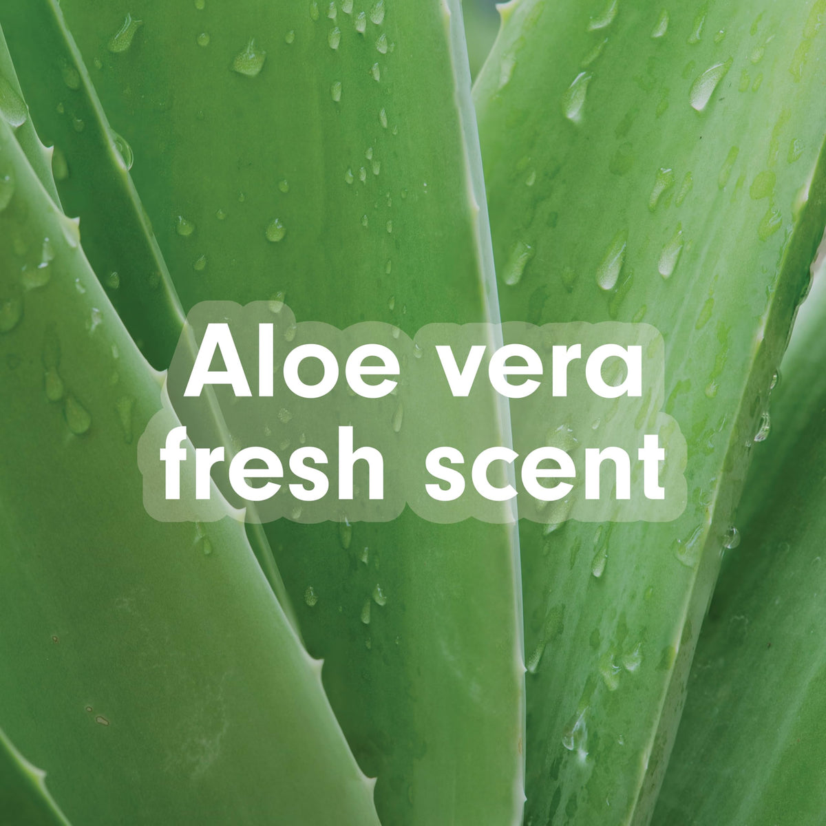 Softsoap Soothing Clean Hand Soap Refill, Aloe Vera Fresh Scent, 50 fl oz