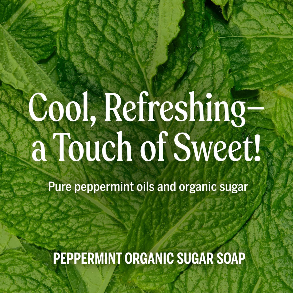 Dr. Bronner's Organic Sugar Soap, Peppermint Bath Wash, 12 oz