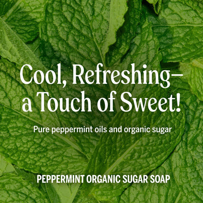 Dr. Bronner's Organic Sugar Soap, Peppermint Bath Wash, 12 oz